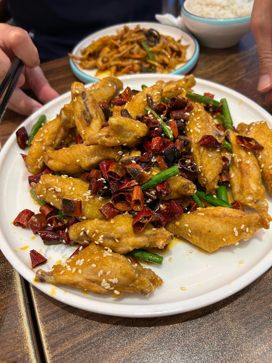 Yue's Dumpling Kitchen Albany Store Photos 2